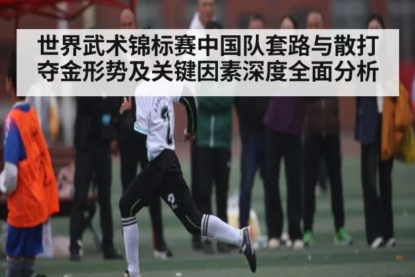 世界武术锦标赛中国队套路与散打夺金形势及关键因素深度全面分析